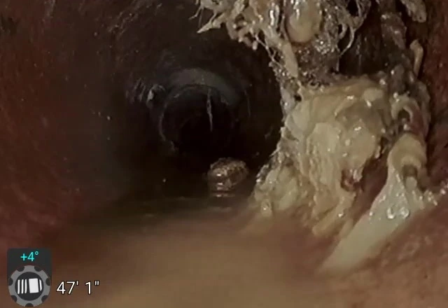 Root Intrusion